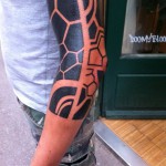 250572_206866172682996_2795810_n